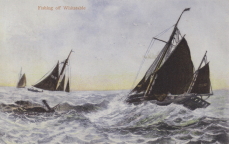 Fishing off Whitstable 1907